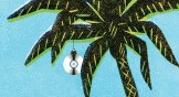 A palm tree with an ornament made out of a CD hiding in the leaves