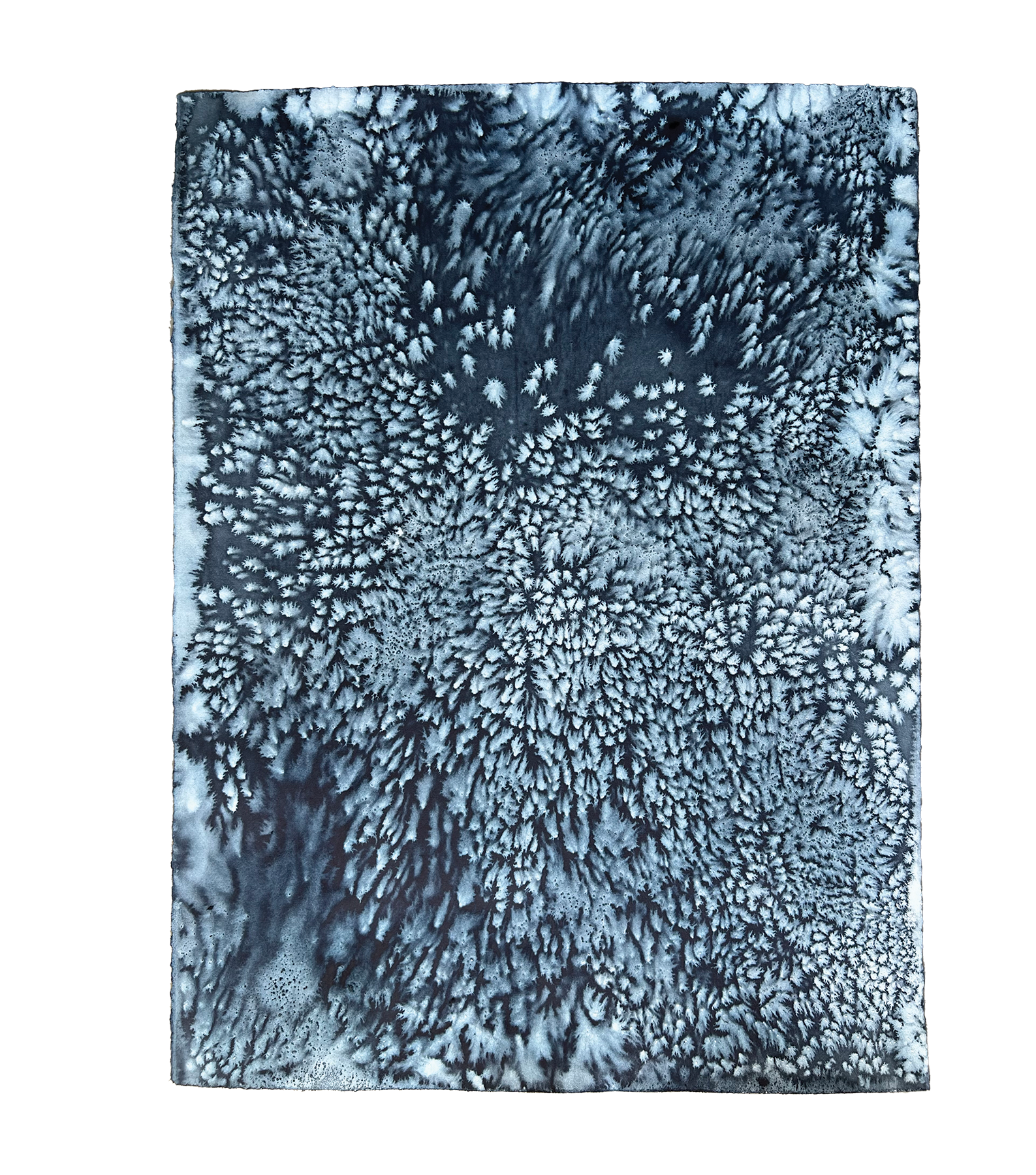 Affection (da série What Lies Beneath), Julia Hendrickson, aquarela e sal sobre papel, 22''x 30'', 2023.