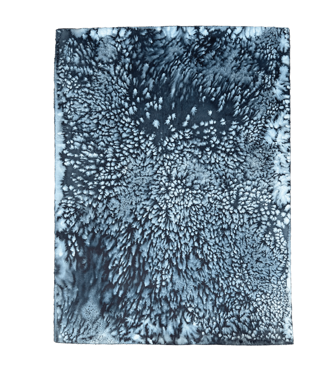 Affection (da série What Lies Beneath), Julia Hendrickson, aquarela e sal sobre papel, 22''x 30'', 2023.