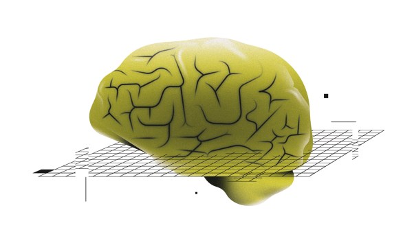 A brain in a graph