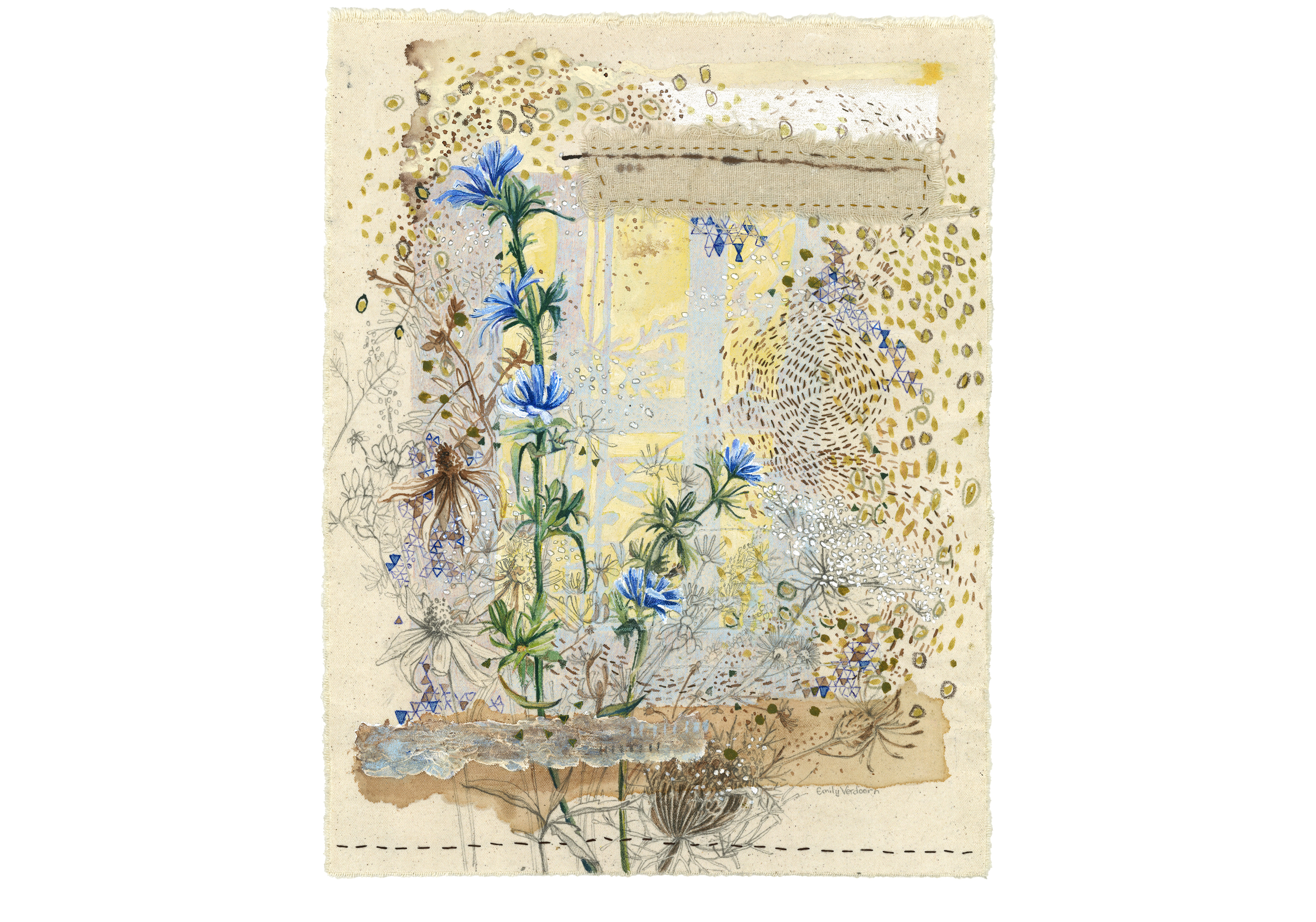 Mixed media painting of chicory flowers on canvas.
