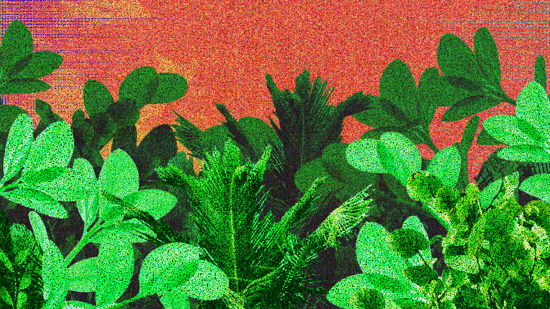 Green plants on a fiery background.