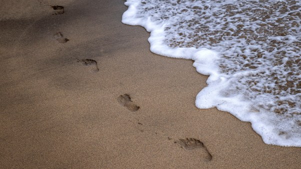 Footprints in the sand.