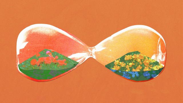 Uma ampulheta deitada de lado com flores crescendo dentro dela. Simbolizando o "sejam tardios"